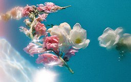 Un bouquet de roses onirique flottant dans l’eau
