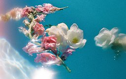 A dreamy bouquet of rose floating in water
