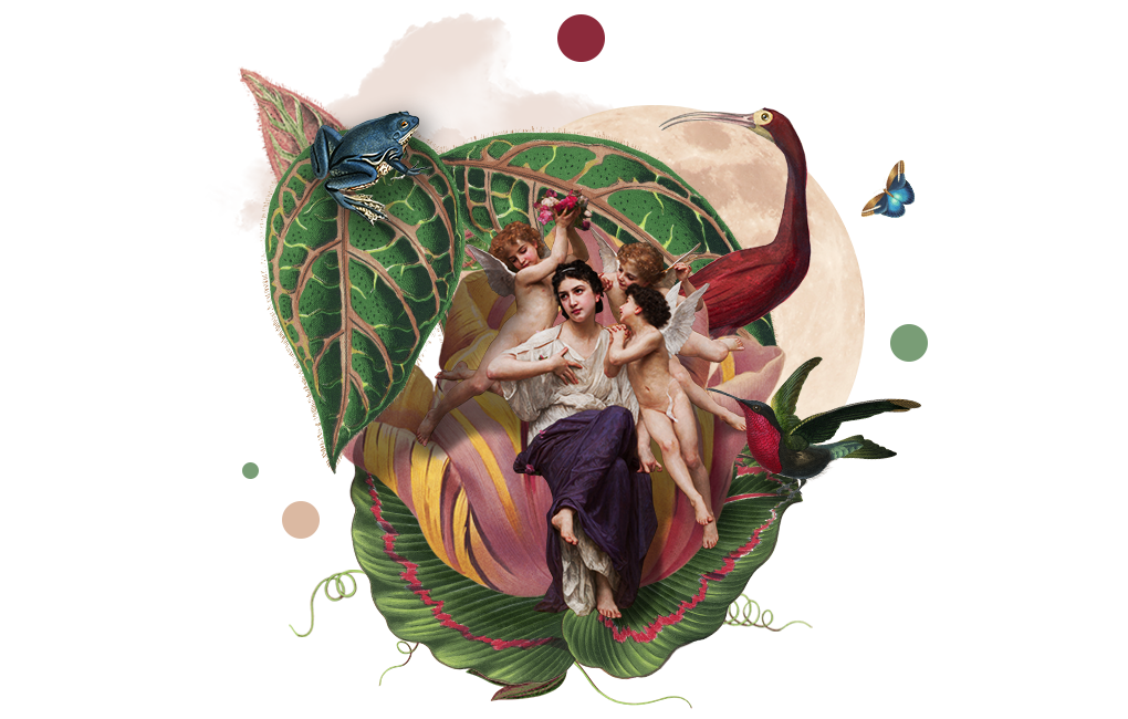 A collage with a Renaissance figure inside a seashell.